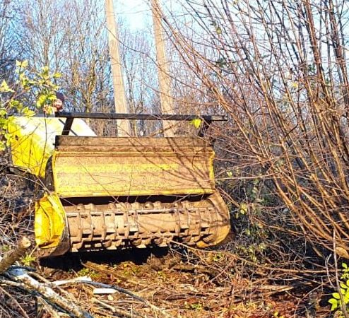 Chantier defrichage Auffray elagage24